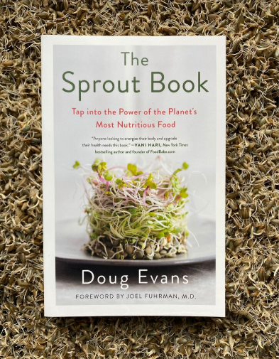 the sprout book vegan cookbook